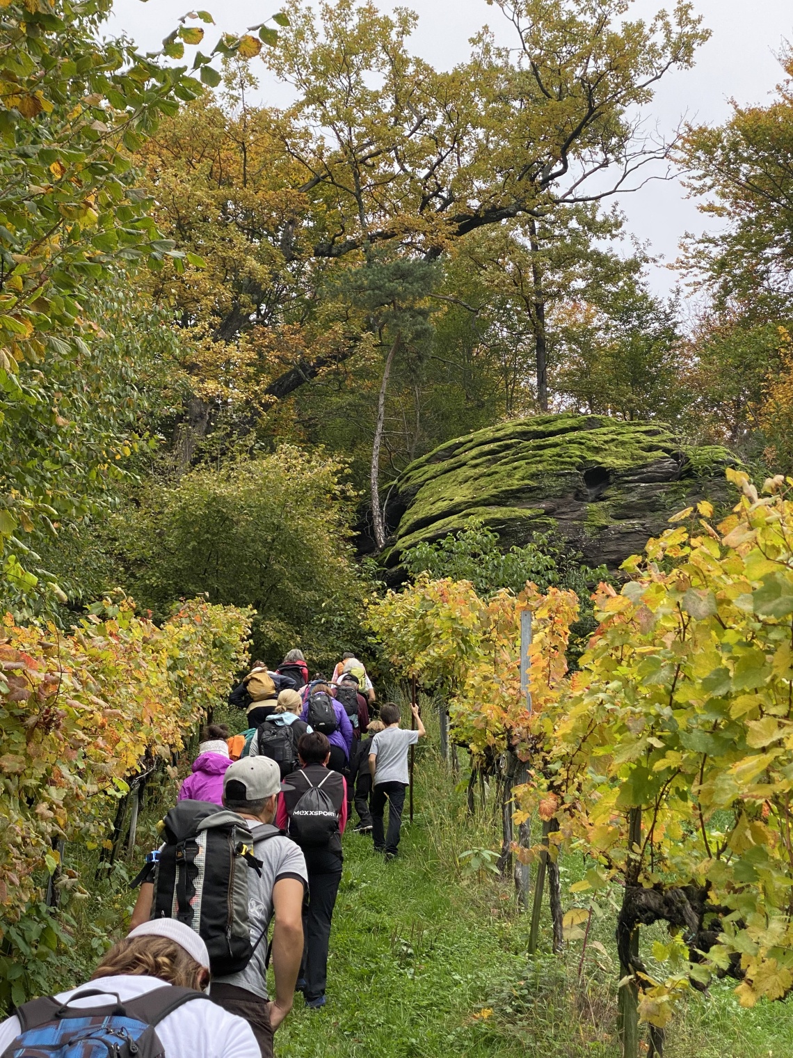 Wanderung am Nationalfeiertag